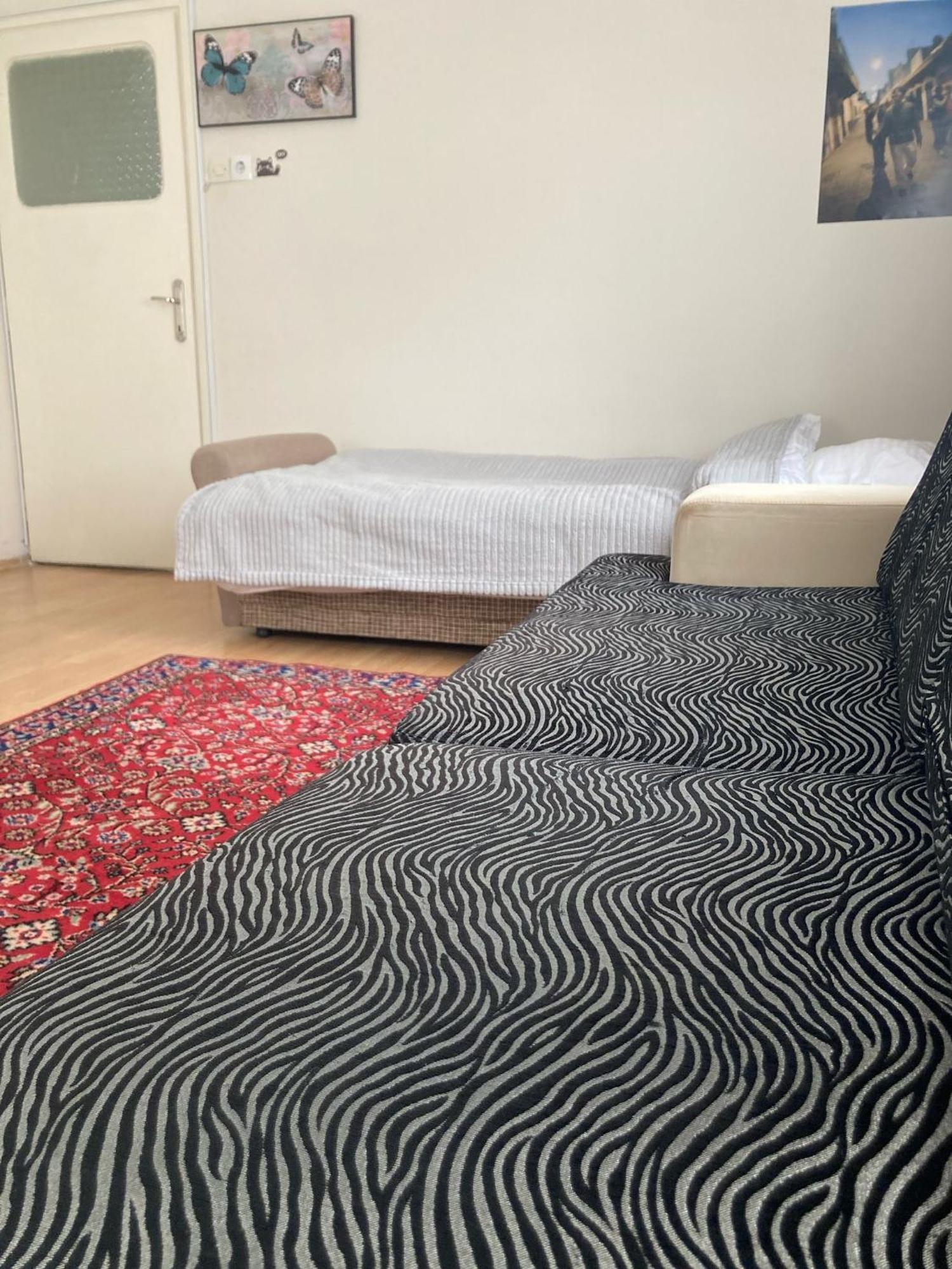 Large And Simple Family House In Center Appartement
